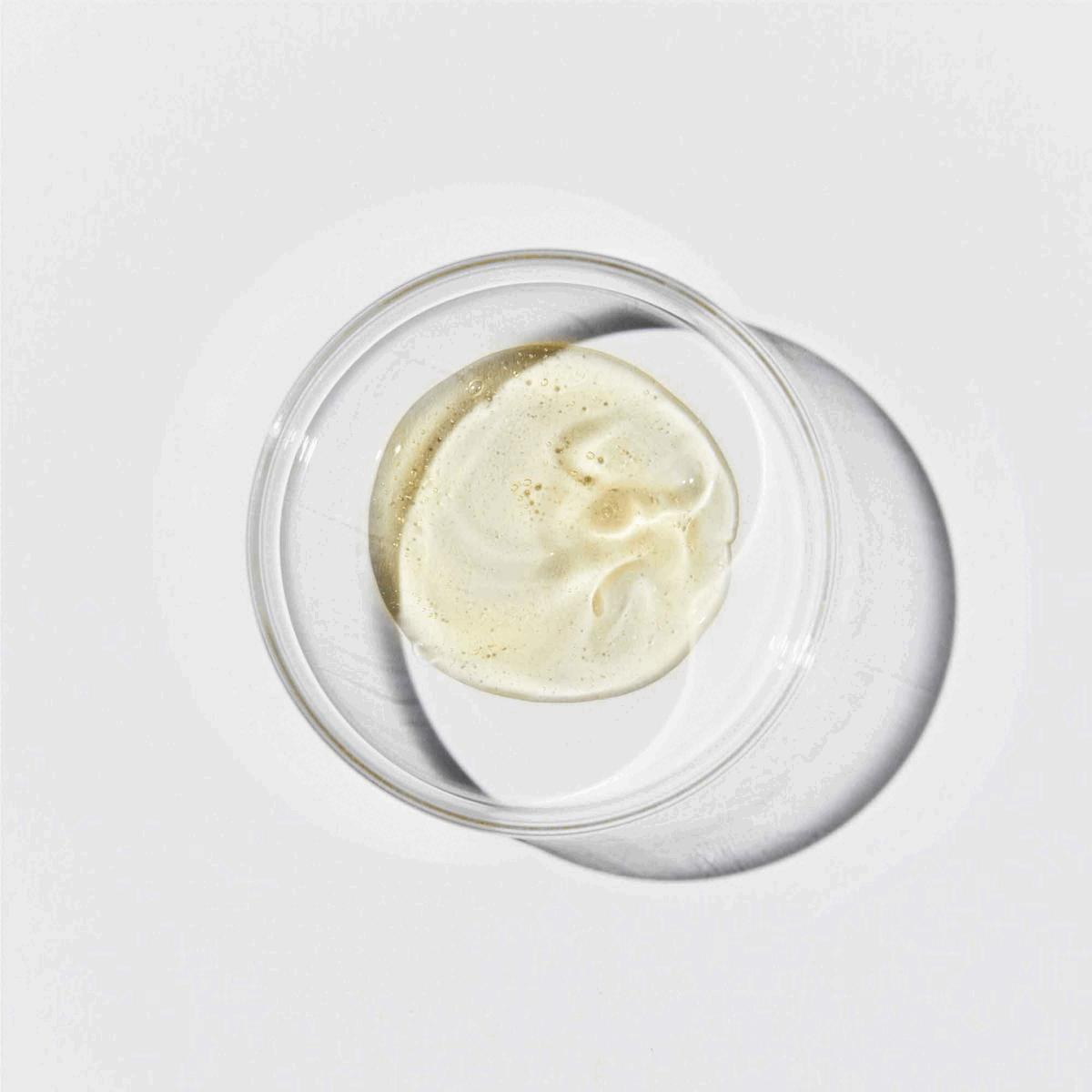 Gif of different petri dishes to showcase textures of the products inside Cultured Discovered Kit.