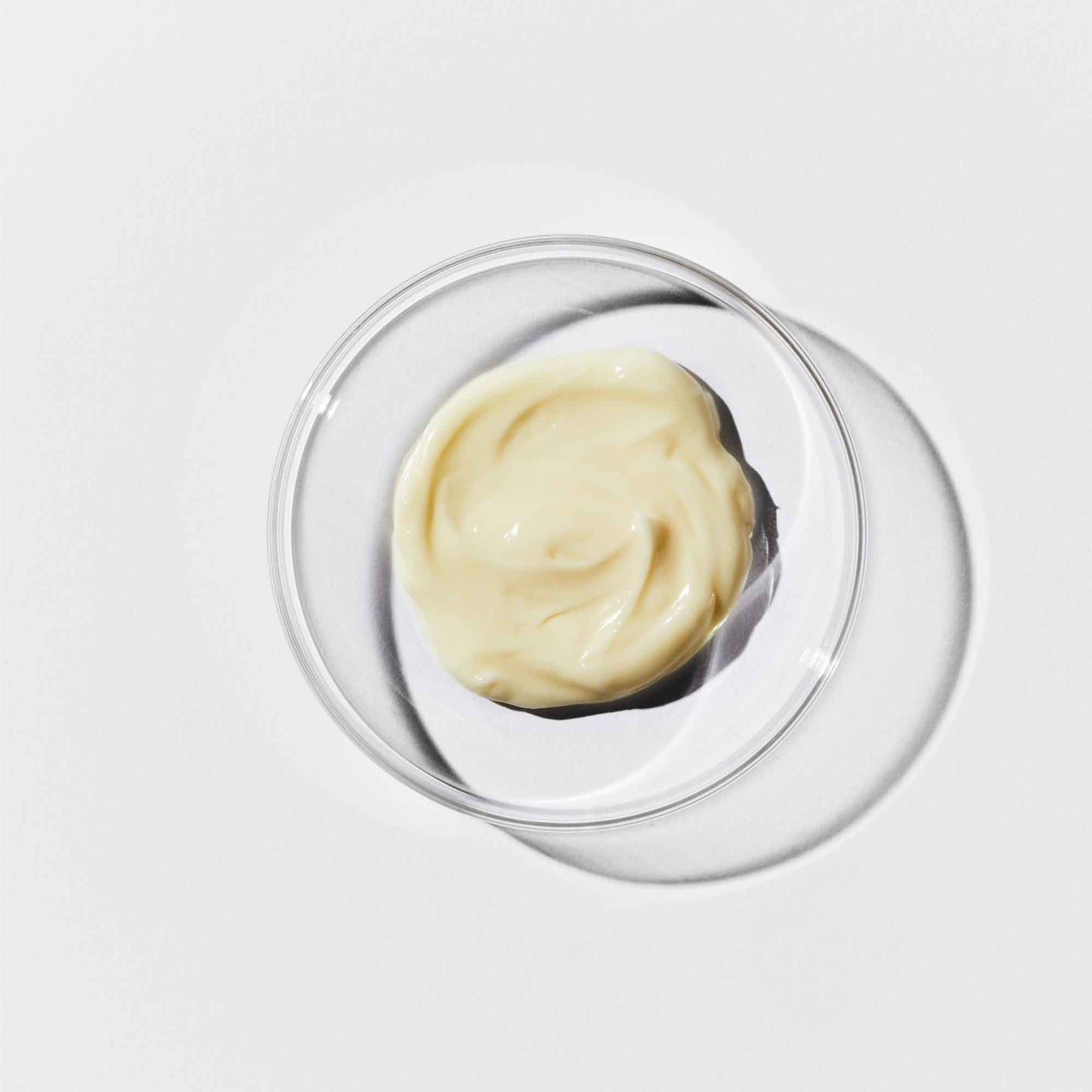 Photo of petri dish containing Cultured Biome One Rich Cream.