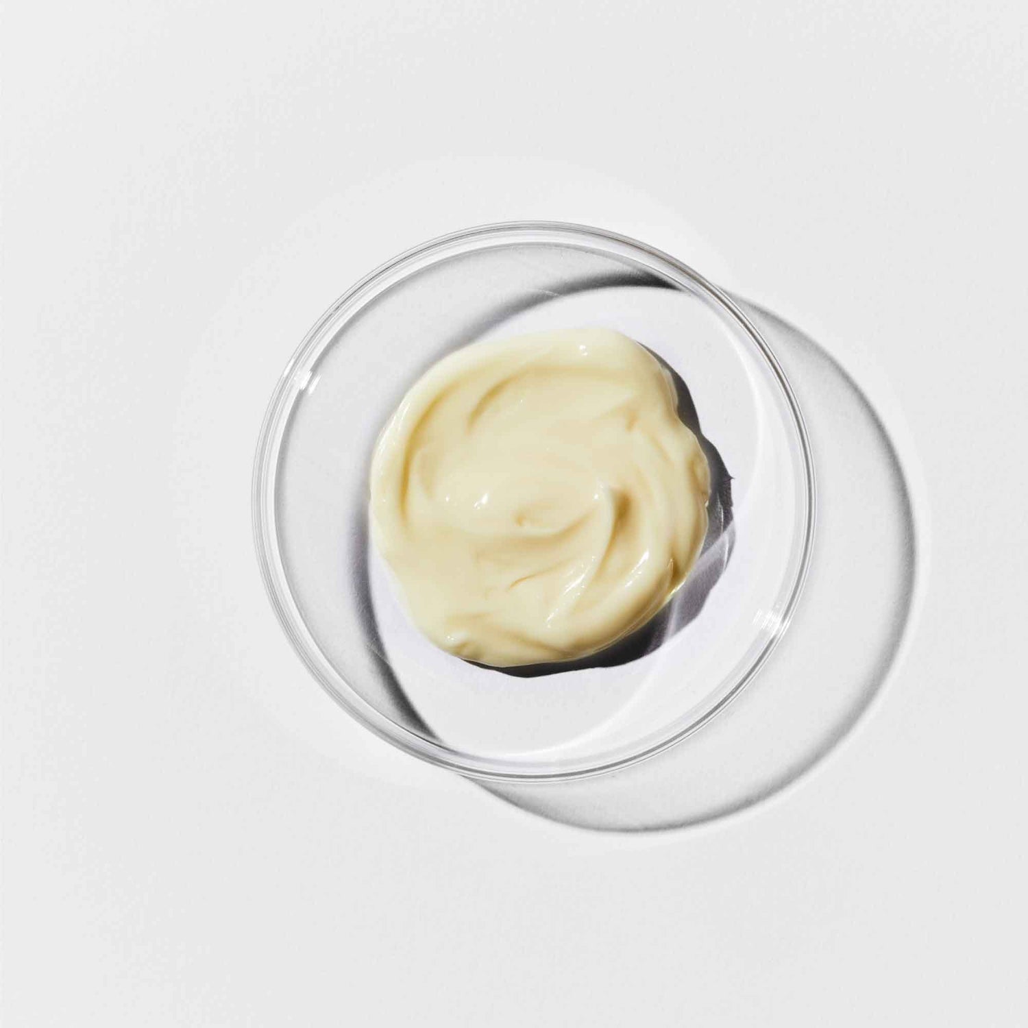 Photo of petri dish containing Cultured Biome One Rich Cream.