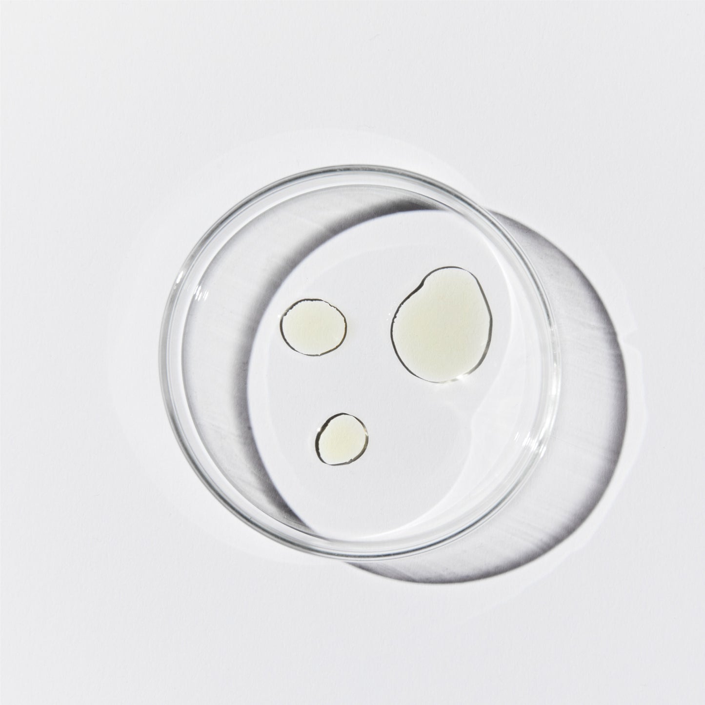 Aerial shot of a petri dish with 3 pools of translucent yellow liquid against a white background.
